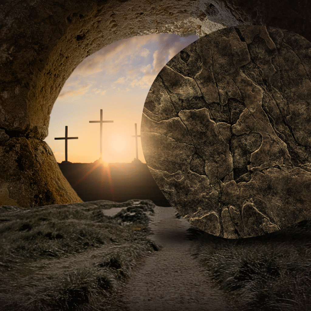 post instagram rosa podcast blog