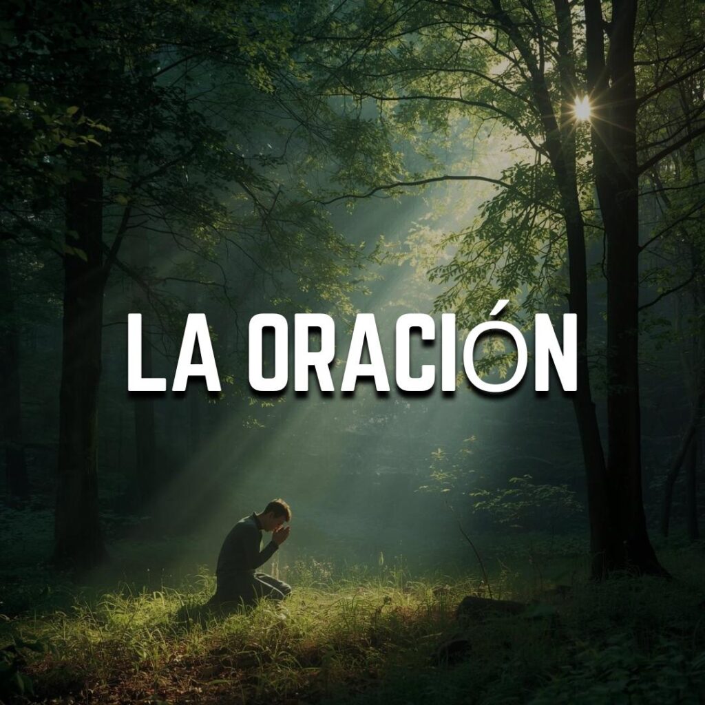 PHOTO 2026 02 09 15 15 00 1024x1024